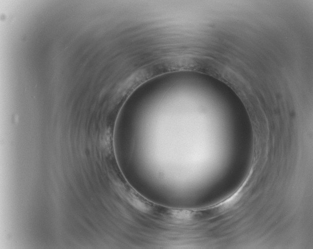 X0000060740144200511171106