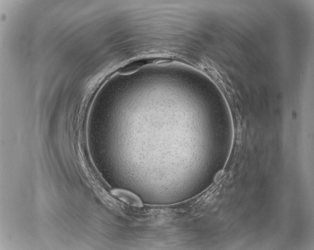 X0000060740145200511171106