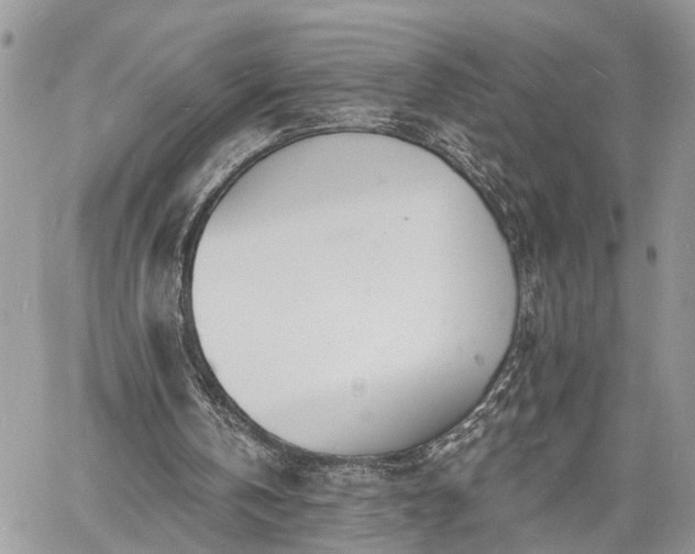 X0000060740146200511171106