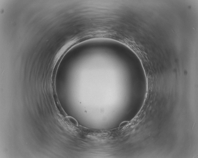 X0000060740147200511171106