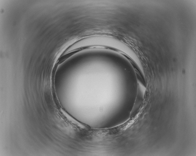 X0000060740148200511171106