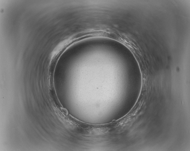 X0000060740149200511171106