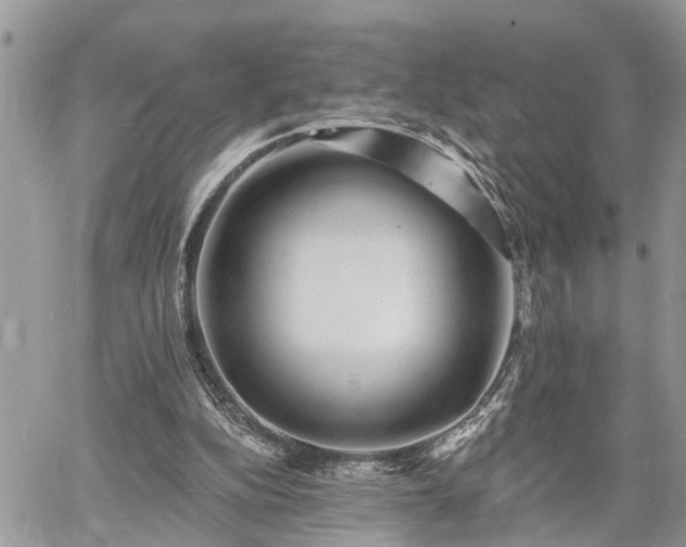 X0000060740152200511171106