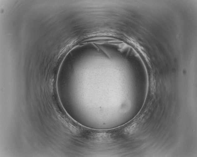 X0000060740153200511171106