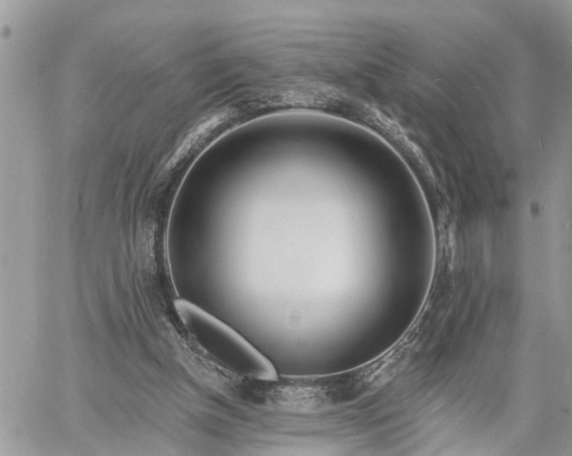 X0000060740154200511171106