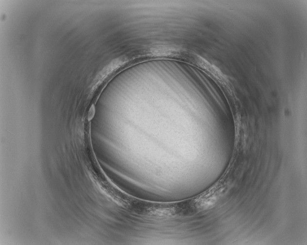 X0000060740155200511171106