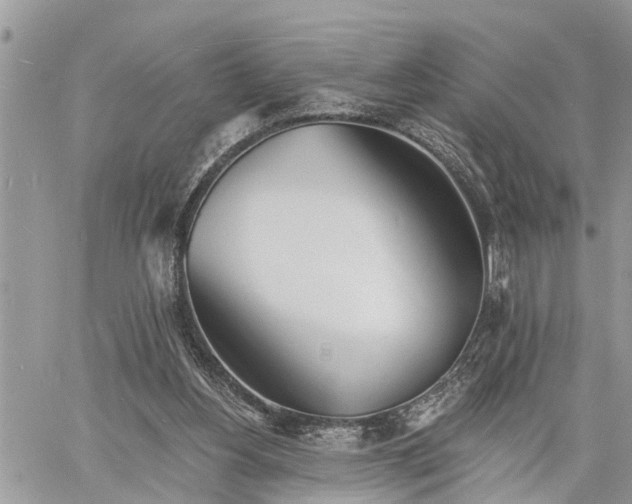 X0000060740156200511171106