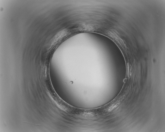 X0000060740157200511171106