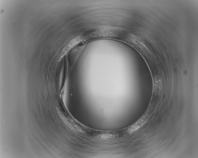 X0000060740158200511171106