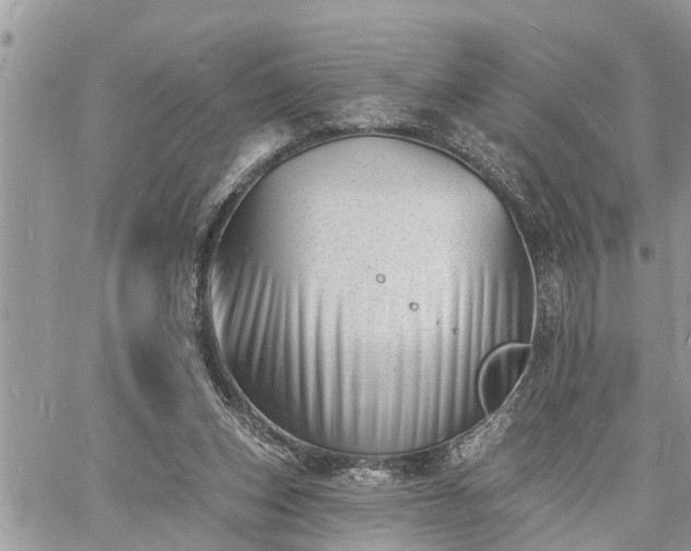 X0000060740159200511171106