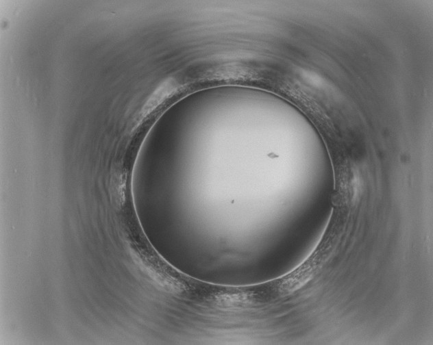 X0000060740160200511171106