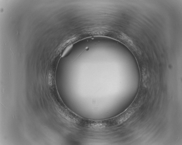 X0000060740161200511171106