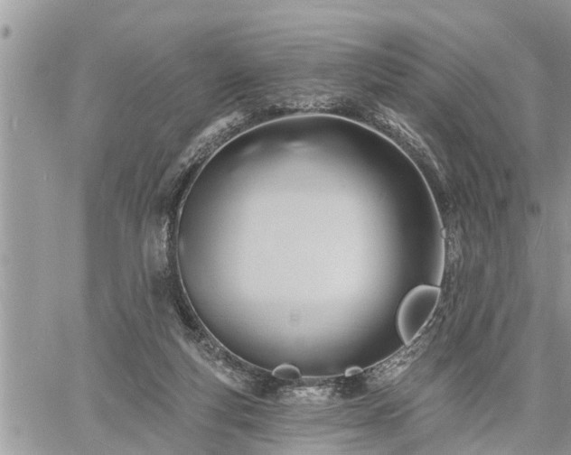 X0000060740163200511171106