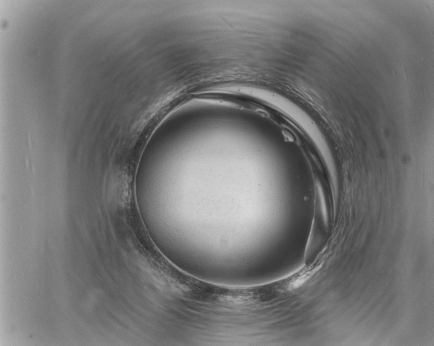 X0000060740164200511171106