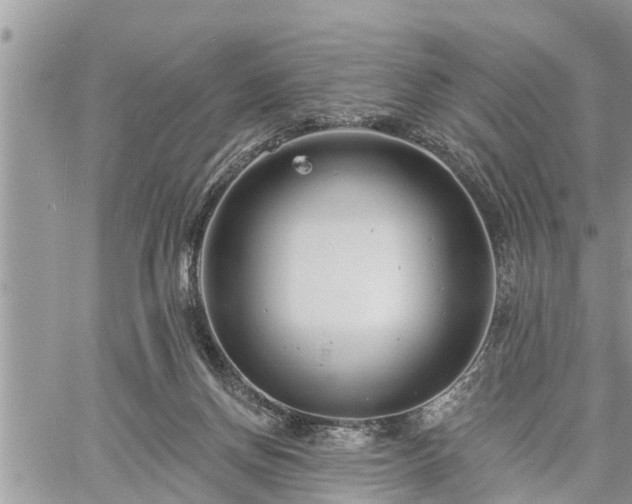 X0000060740166200511171106