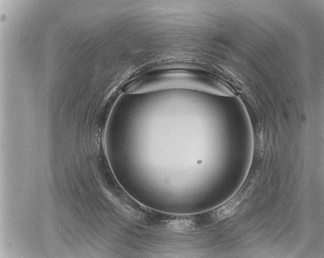 X0000060740168200511171106