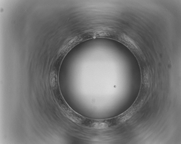 X0000060740169200511171106