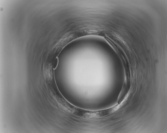 X0000060740170200511171106