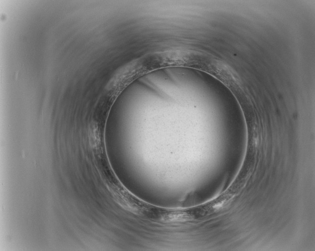 X0000060740173200511171106