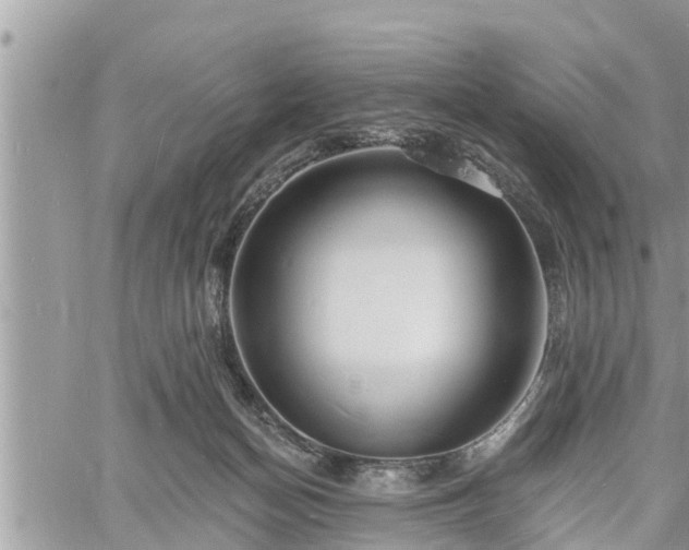 X0000060740174200511171106