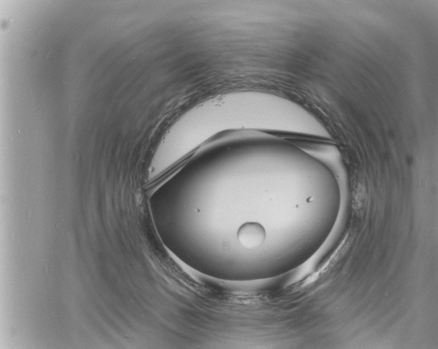 X0000060740175200511171106