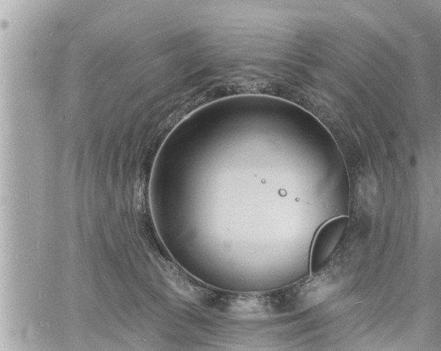 X0000060740177200511171106