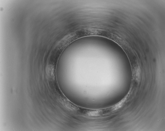 X0000060740178200511171106