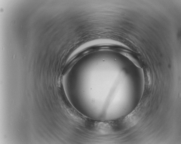 X0000060740180200511171106