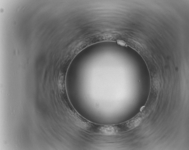 X0000060740181200511171106