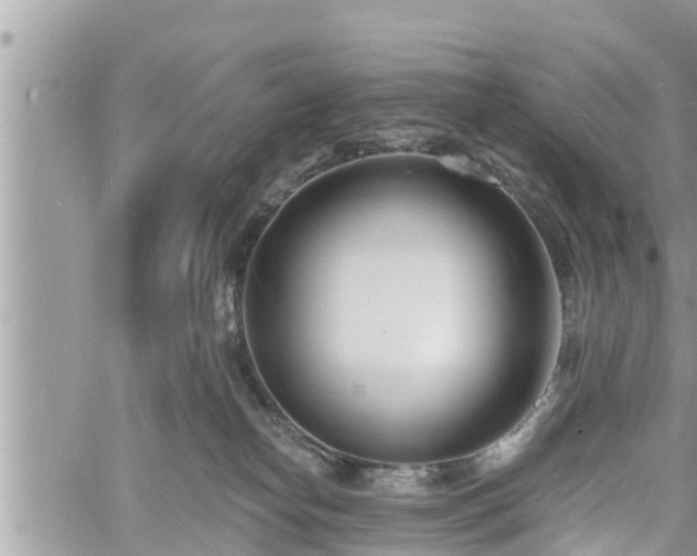 X0000060740182200511171106