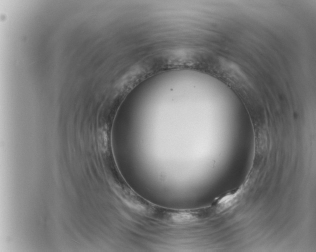 X0000060740183200511171106