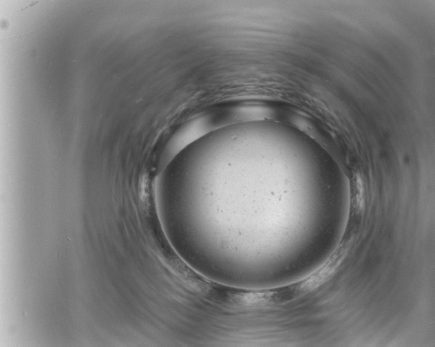 X0000060740184200511171106