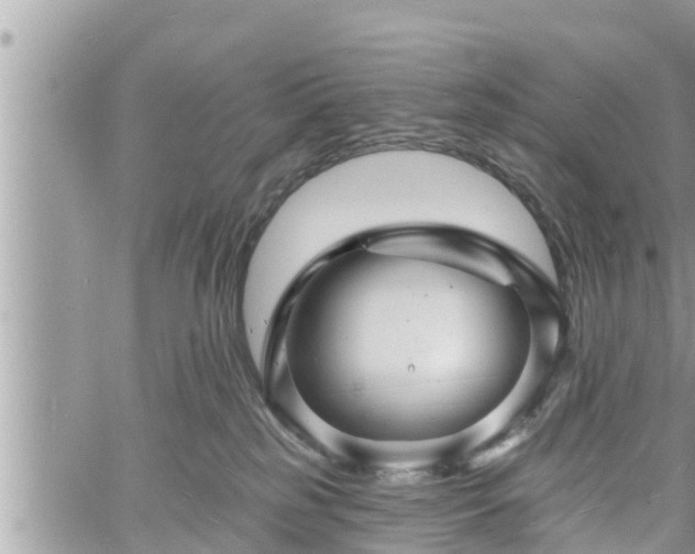 X0000060740185200511171106