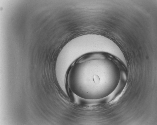 X0000060740186200511171106