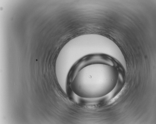 X0000060740187200511171106