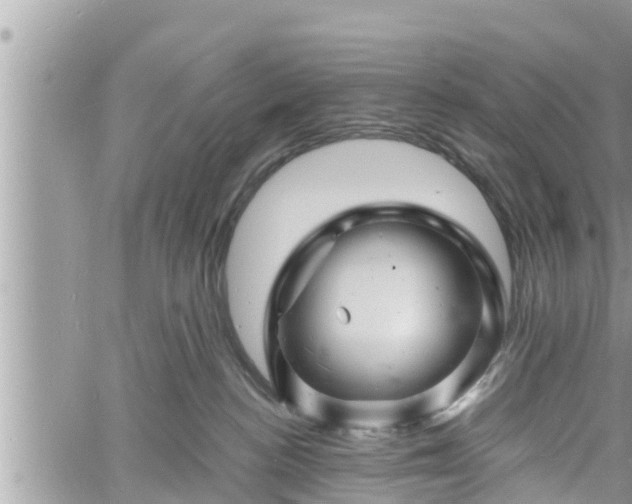 X0000060740188200511171106