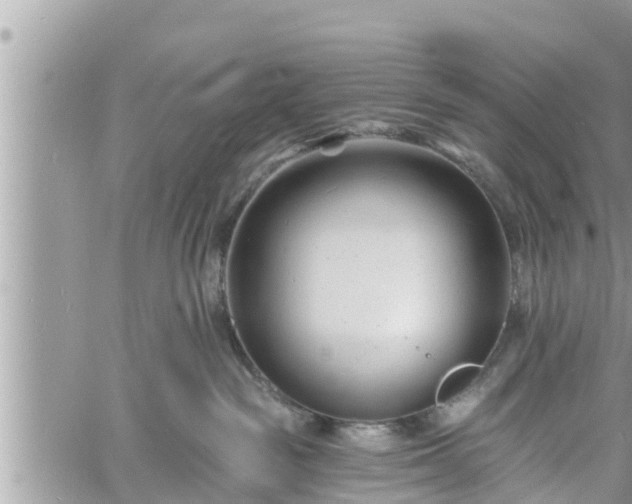 X0000060740189200511171106