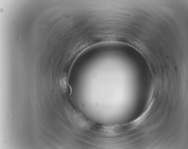 X0000060740190200511171106