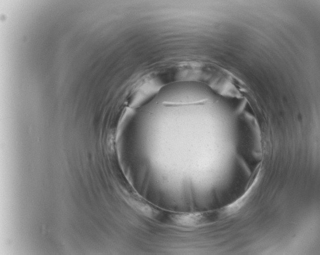 X0000060740191200511171106