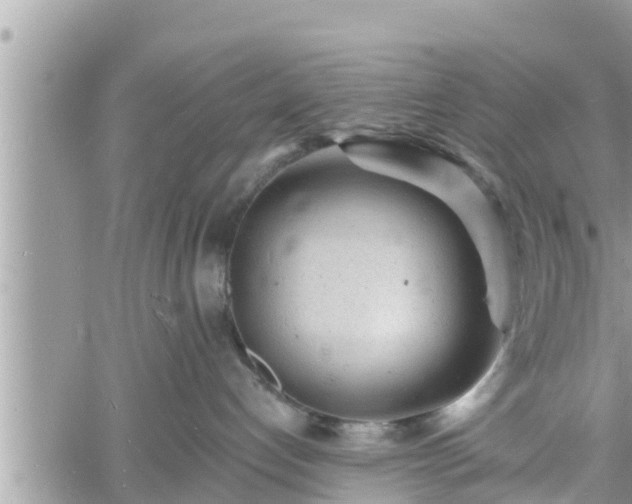 X0000060740192200511171106