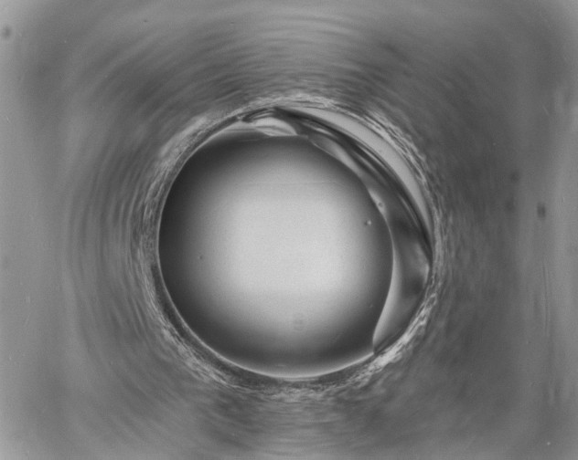 X0000060740193200511171106