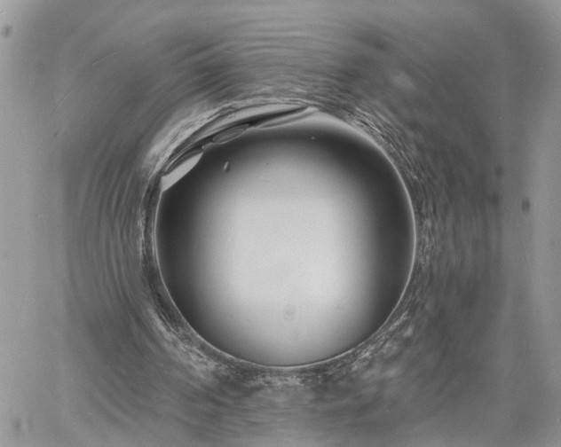 X0000060740194200511171106