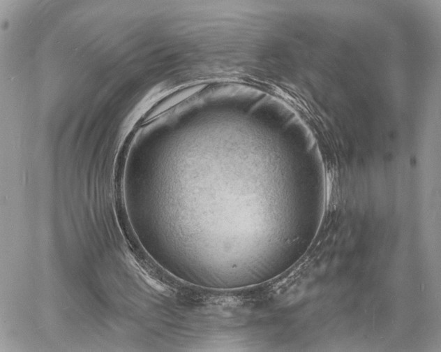 X0000060740195200511171106