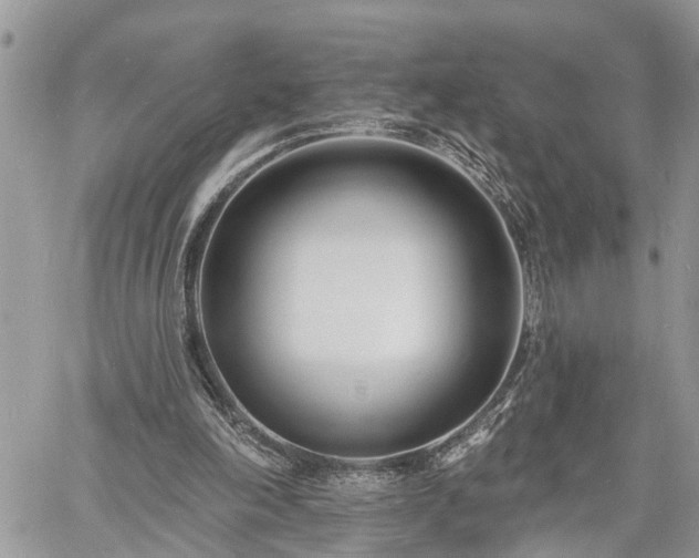 X0000060740198200511171106