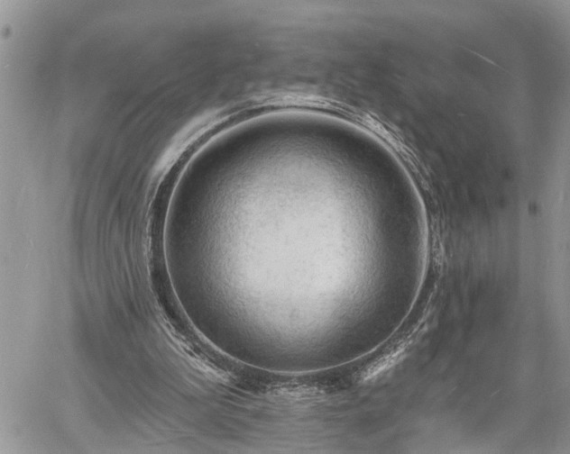 X0000060740199200511171106