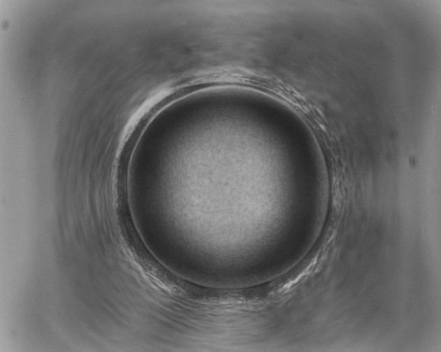 X0000060740200200511171105