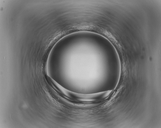 X0000060740201200511171105