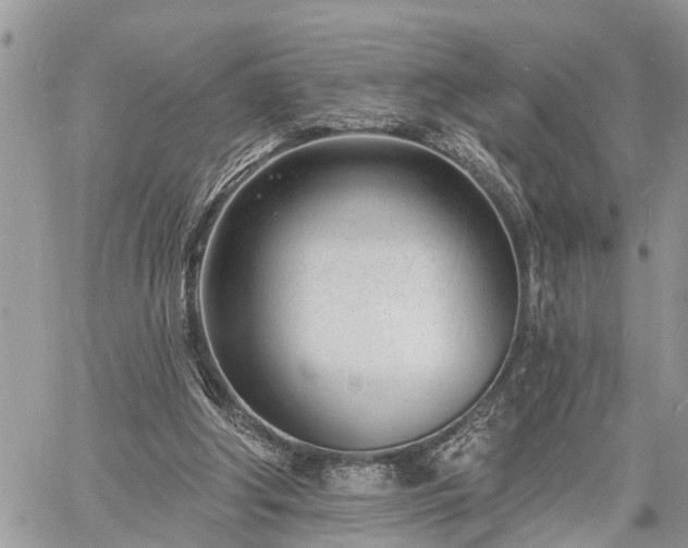 X0000060740202200511171105