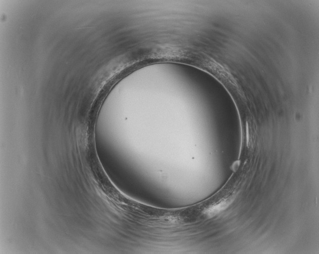 X0000060740204200511171105