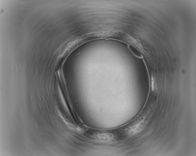 X0000060740205200511171105